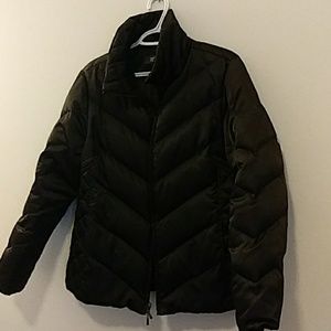 Winter Jacket